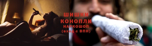 спиды Осинники