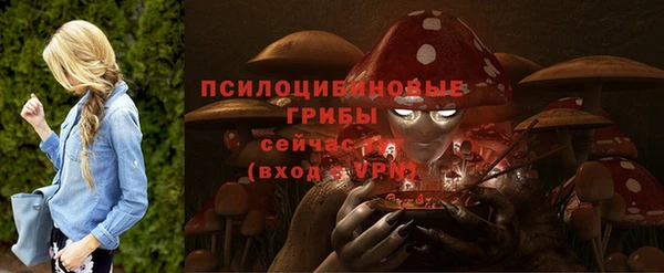 мескалин Осташков